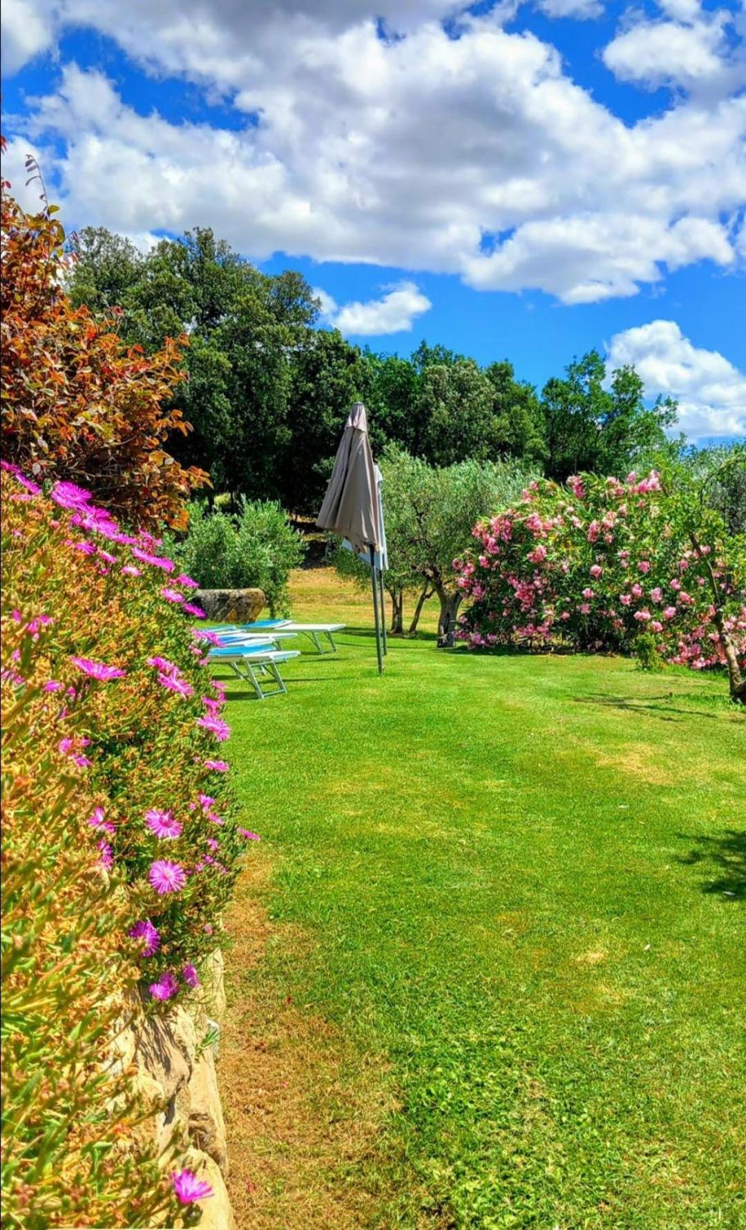 Villa Casolare Il Moro à Monte San Savino Extérieur photo