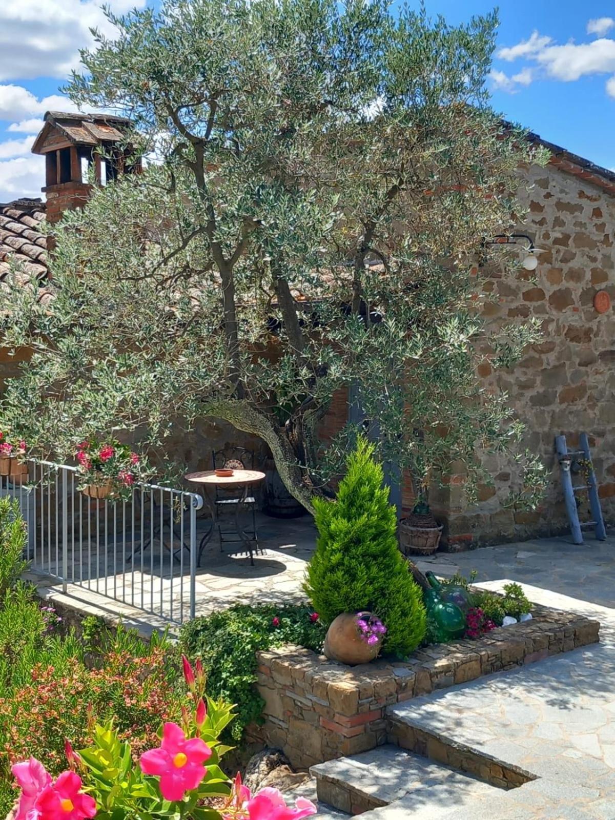 Villa Casolare Il Moro à Monte San Savino Extérieur photo